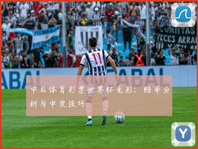 中目体育彩票世界杯竞彩：赔率分析与中奖技巧