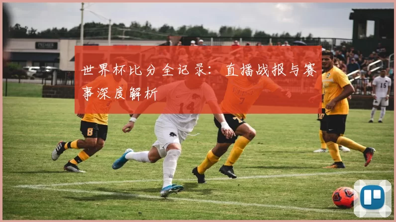 世界杯比分全记录:直播战报与赛事深度解析