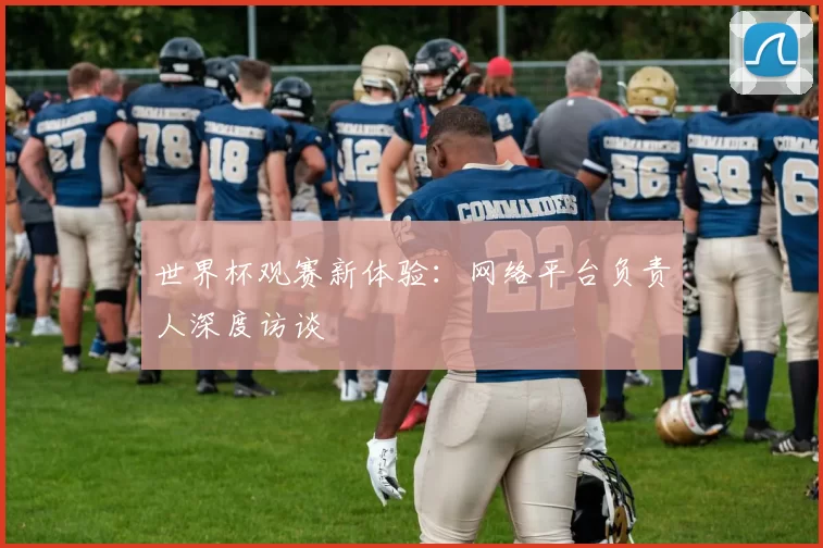 世界杯观赛新体验：网络平台负责人深度访谈