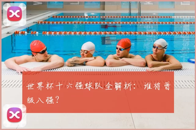 世界杯十六强球队全解析：谁将晋级八强？