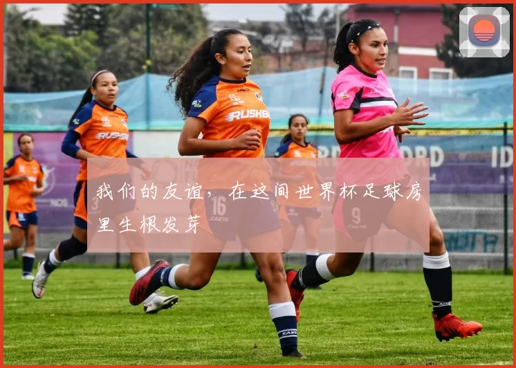 我们的友谊，在这间世界杯足球房里生根发芽