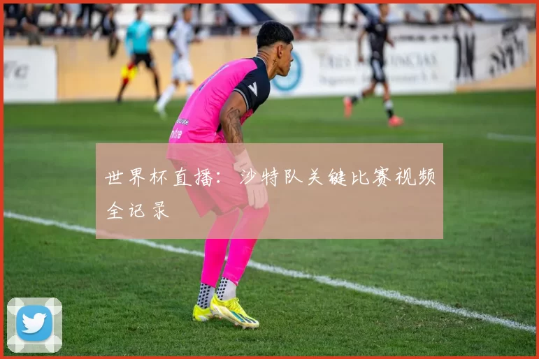 世界杯直播：沙特队关键比赛视频全记录