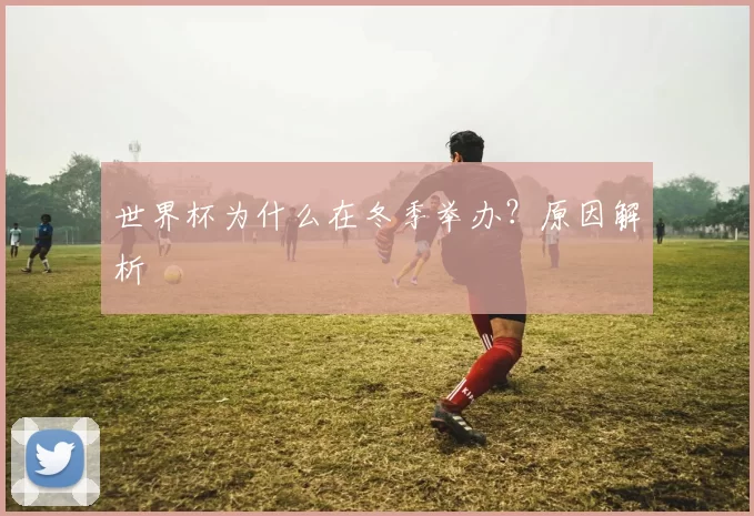 世界杯为什么在冬季举办？原因解析