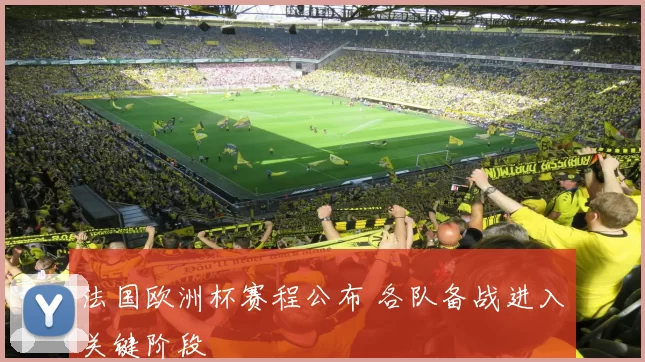 法国欧洲杯赛程公布 各队备战进入关键阶段
